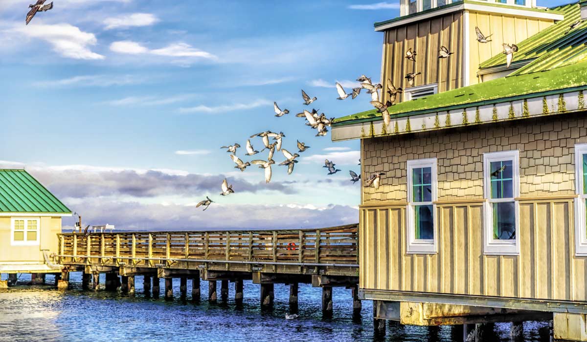 Redondo Beach Pier Things To Do