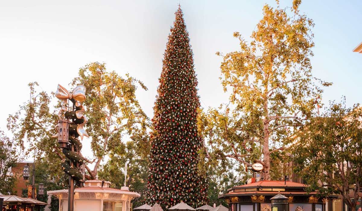 Christmas at The Grove