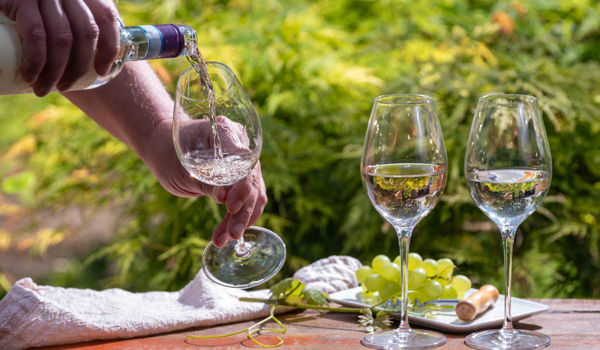 Wine Tasting in Napa Valley