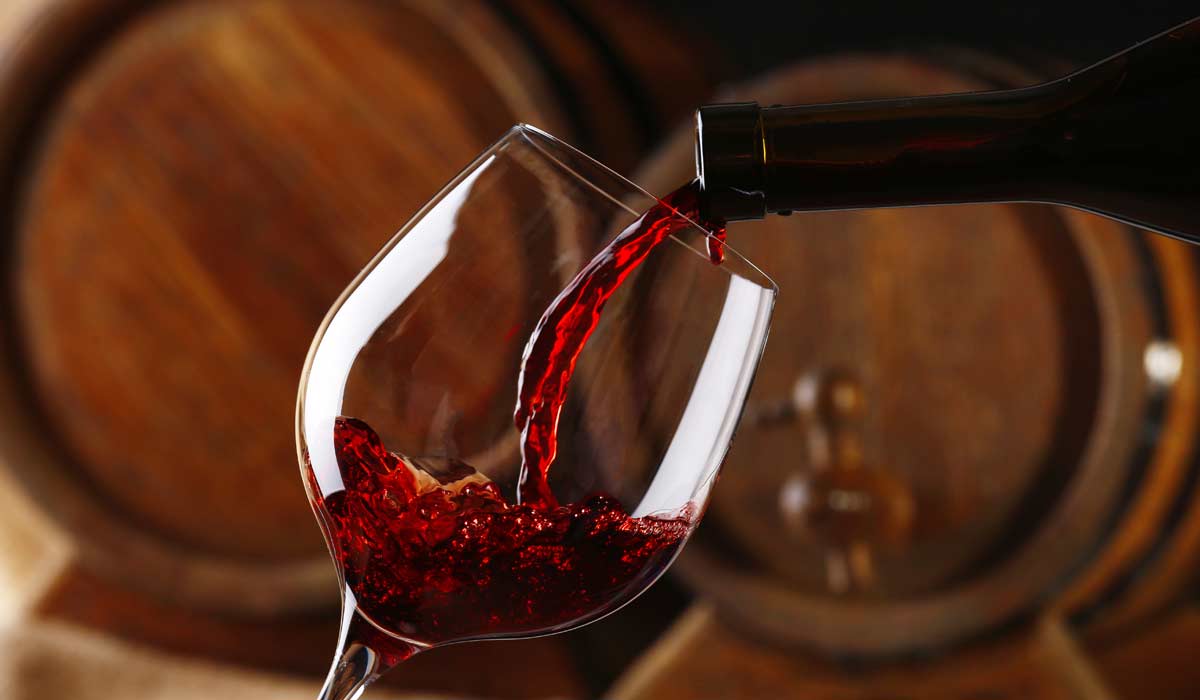 Wine Tasting in Sonoma County